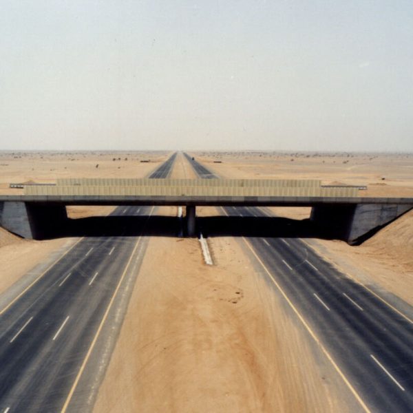 Al Qassim Expressway